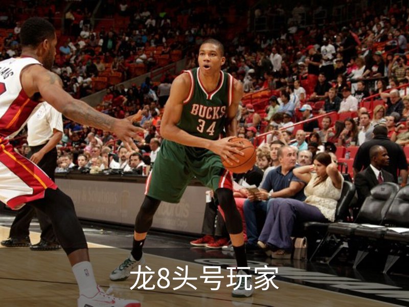 龙8头号玩家介绍